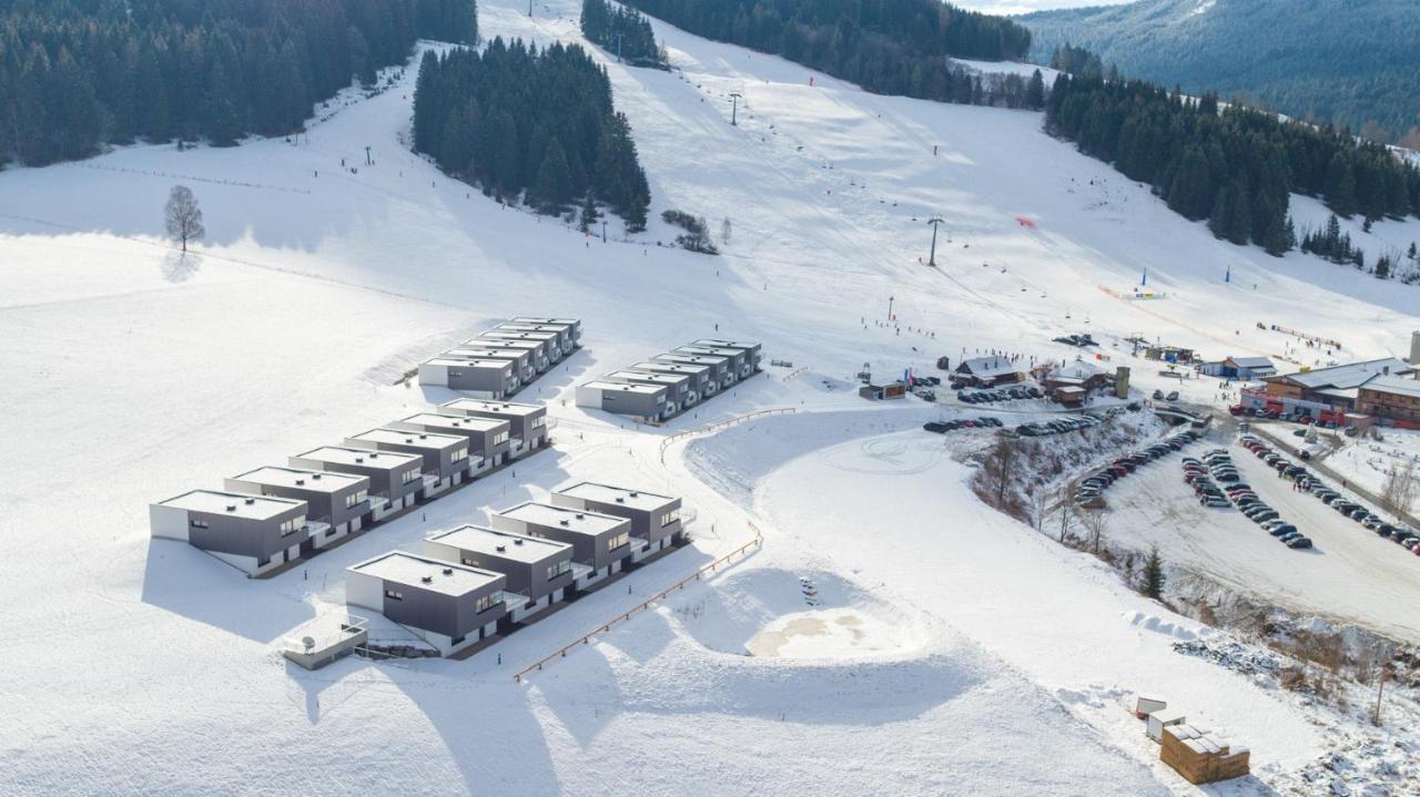 Naturpark Chalets Lambrecht By Alps Resorts 圣兰布雷希特 外观 照片