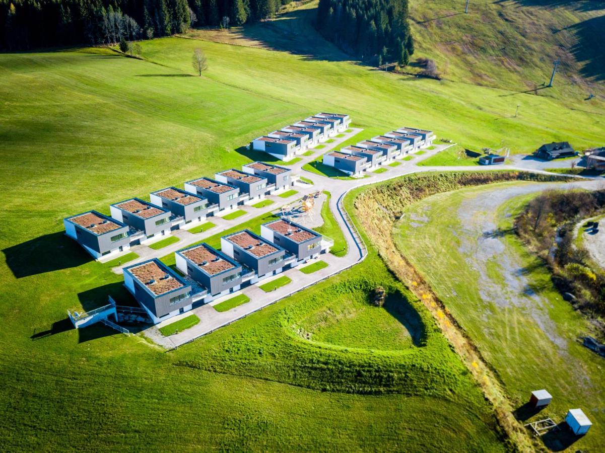Naturpark Chalets Lambrecht By Alps Resorts 圣兰布雷希特 外观 照片